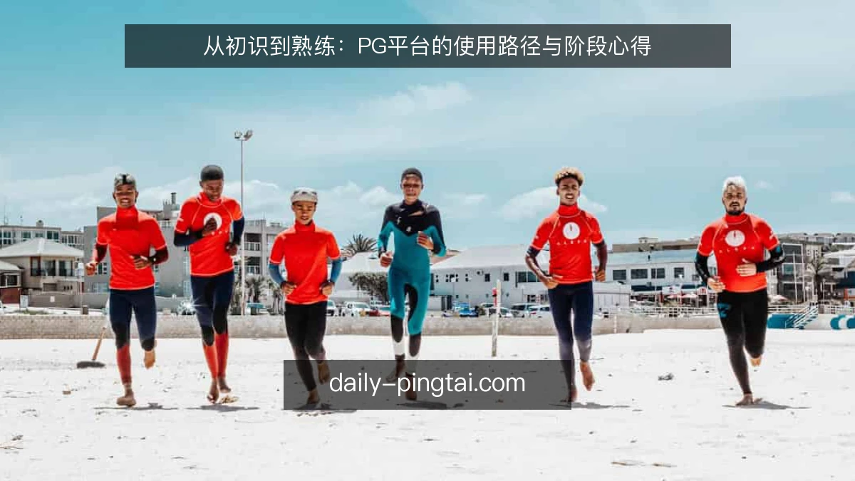 从初识到熟练:PG平台的使用路径与阶段心得
