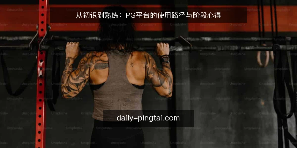 从初识到熟练:PG平台的使用路径与阶段心得 — 场景起点:从陌生到上手的第一阶段 配图