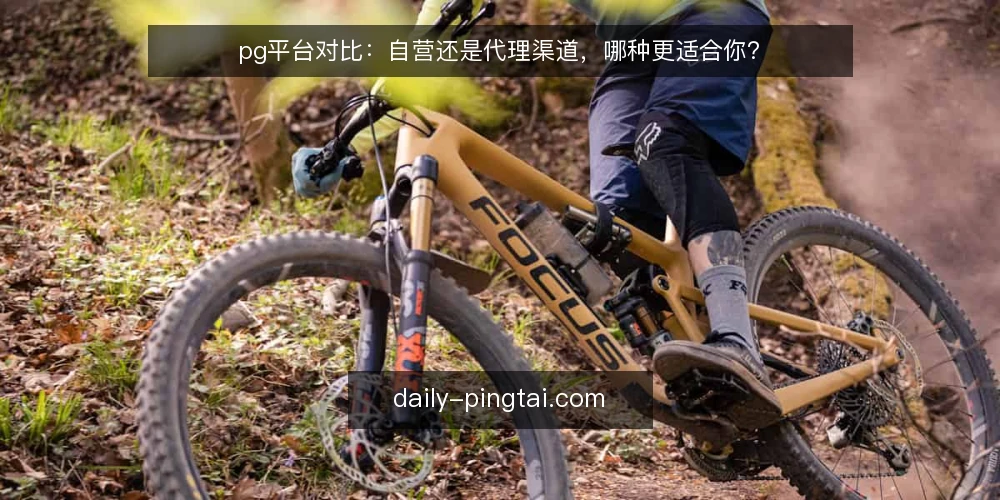 pg平台对比:自营还是代理渠道,哪种更适合你? — 为什么现在要重新审视渠道选择 配图